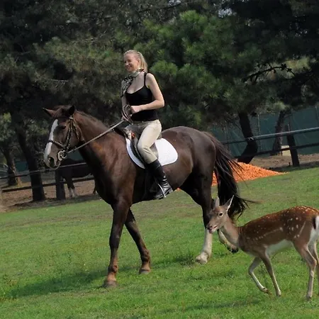 S3 * Albarella Island