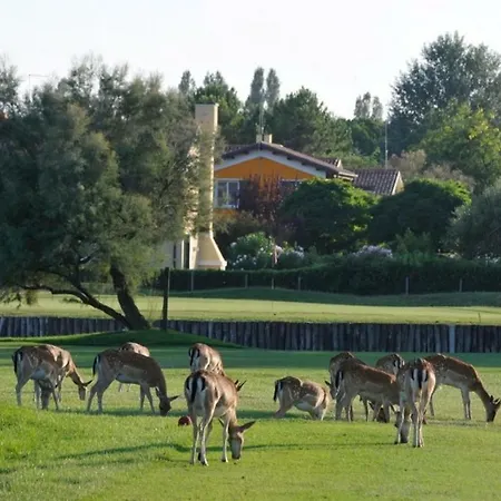 S3 * Albarella Island